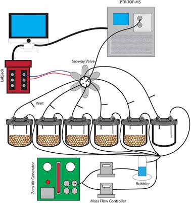 Measurement of Volatile Compounds for Real-Time Analysis of Soil Microbial Metabolic Response to Simulated Snowmelt